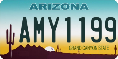 AZ license plate AMY1199