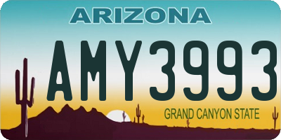 AZ license plate AMY3993