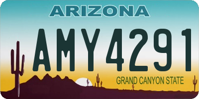 AZ license plate AMY4291
