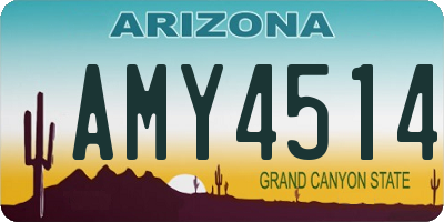 AZ license plate AMY4514