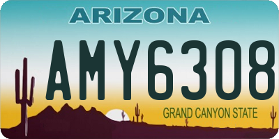 AZ license plate AMY6308