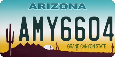 AZ license plate AMY6604