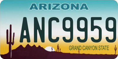 AZ license plate ANC9959