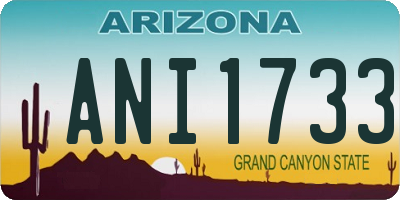 AZ license plate ANI1733