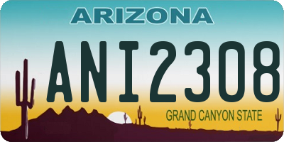 AZ license plate ANI2308