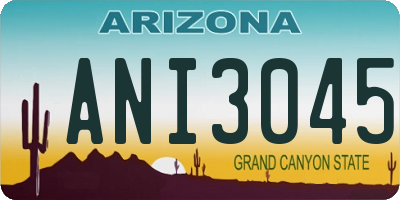 AZ license plate ANI3045