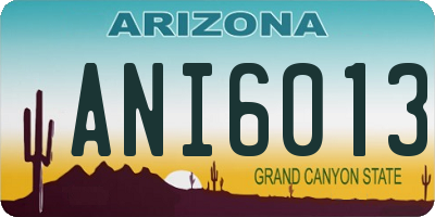 AZ license plate ANI6013