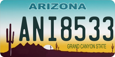 AZ license plate ANI8533