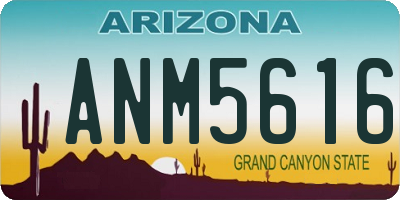 AZ license plate ANM5616