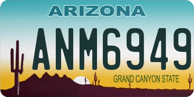 AZ license plate ANM6949