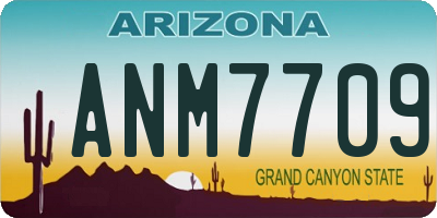 AZ license plate ANM7709