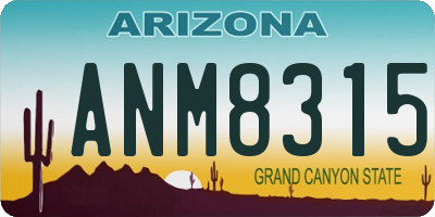 AZ license plate ANM8315