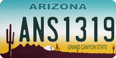 AZ license plate ANS1319