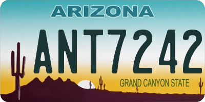 AZ license plate ANT7242