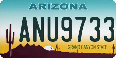 AZ license plate ANU9733