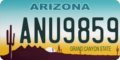 AZ license plate ANU9859