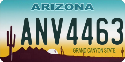 AZ license plate ANV4463