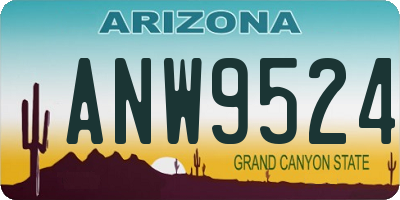 AZ license plate ANW9524