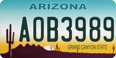 AZ license plate AOB3989