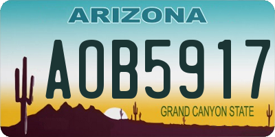 AZ license plate AOB5917
