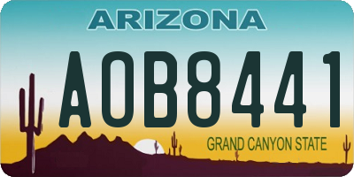AZ license plate AOB8441