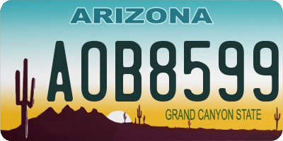 AZ license plate AOB8599
