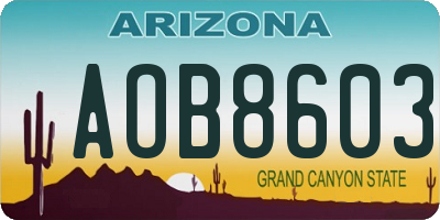 AZ license plate AOB8603