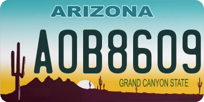AZ license plate AOB8609