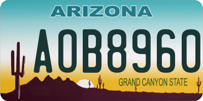 AZ license plate AOB8960