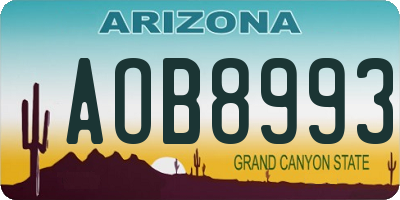 AZ license plate AOB8993