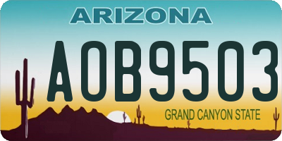 AZ license plate AOB9503