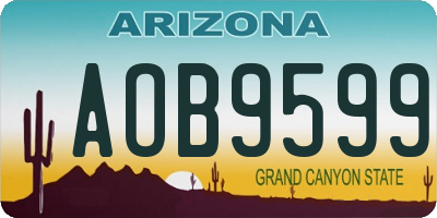 AZ license plate AOB9599
