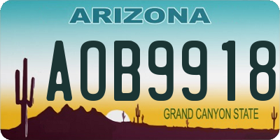 AZ license plate AOB9918