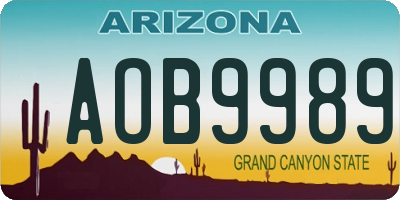 AZ license plate AOB9989