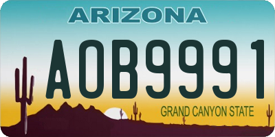 AZ license plate AOB9991