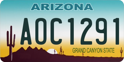 AZ license plate AOC1291