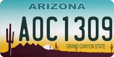 AZ license plate AOC1309
