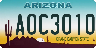 AZ license plate AOC3010