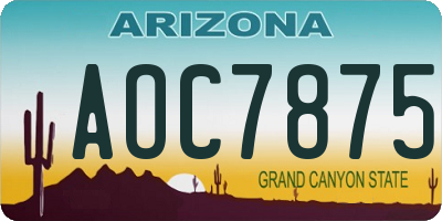 AZ license plate AOC7875