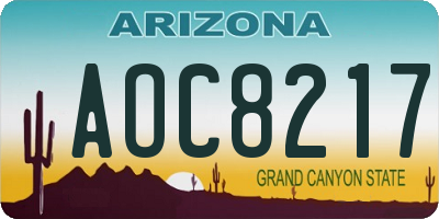 AZ license plate AOC8217