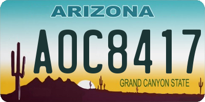 AZ license plate AOC8417