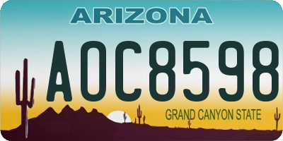 AZ license plate AOC8598