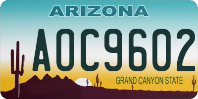 AZ license plate AOC9602