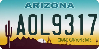 AZ license plate AOL9317