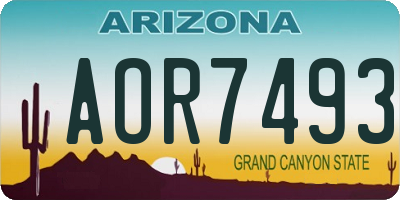 AZ license plate AOR7493