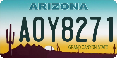 AZ license plate AOY8271