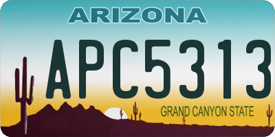 AZ license plate APC5313