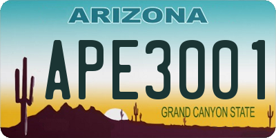 AZ license plate APE3001