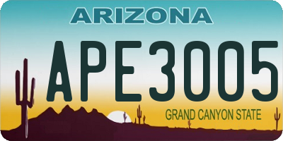 AZ license plate APE3005