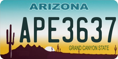 AZ license plate APE3637